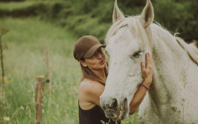 Southern Highlands Wellness Retreats: A Guide to Nature-Based Healing in NSW