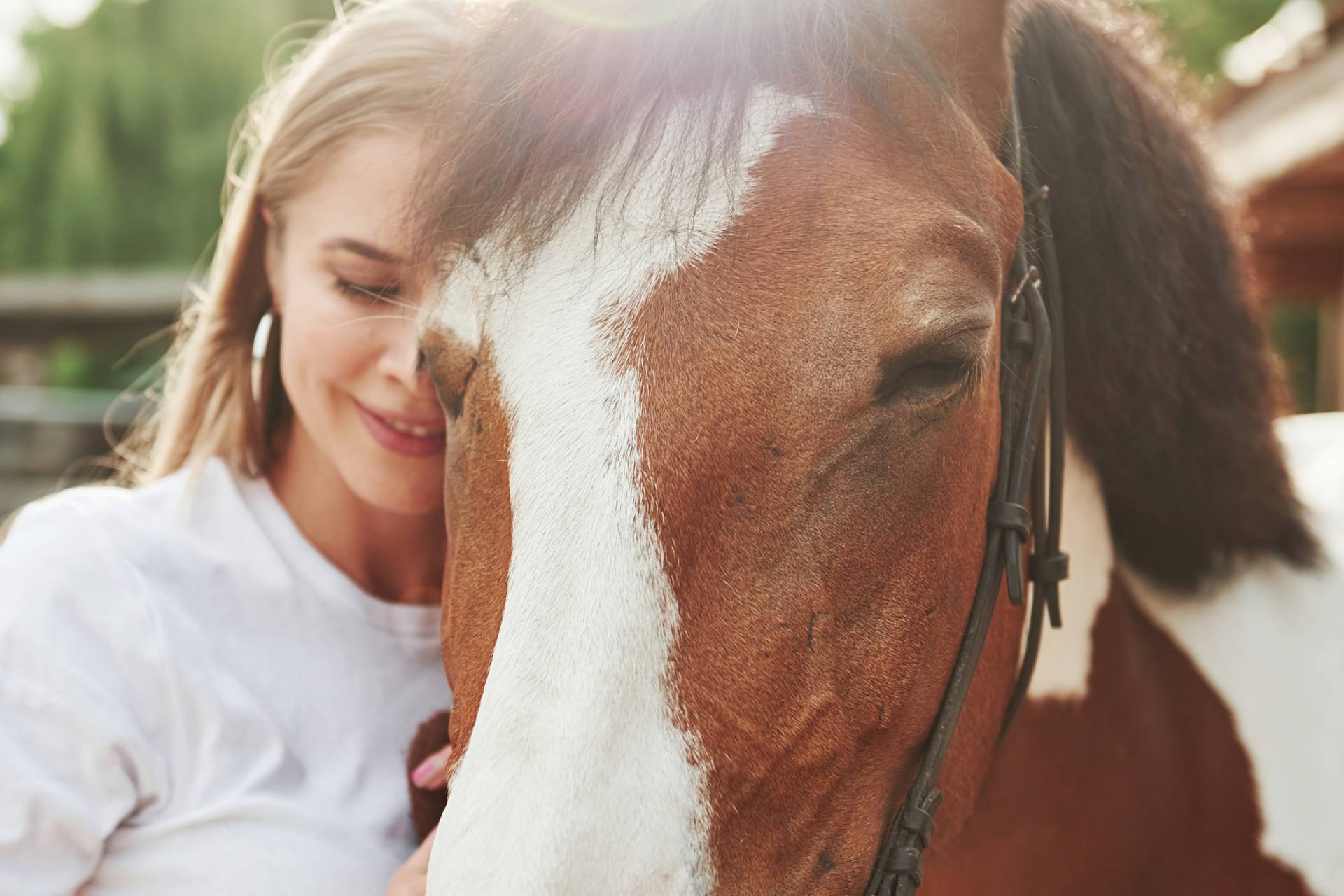 Wellness therapy (1)