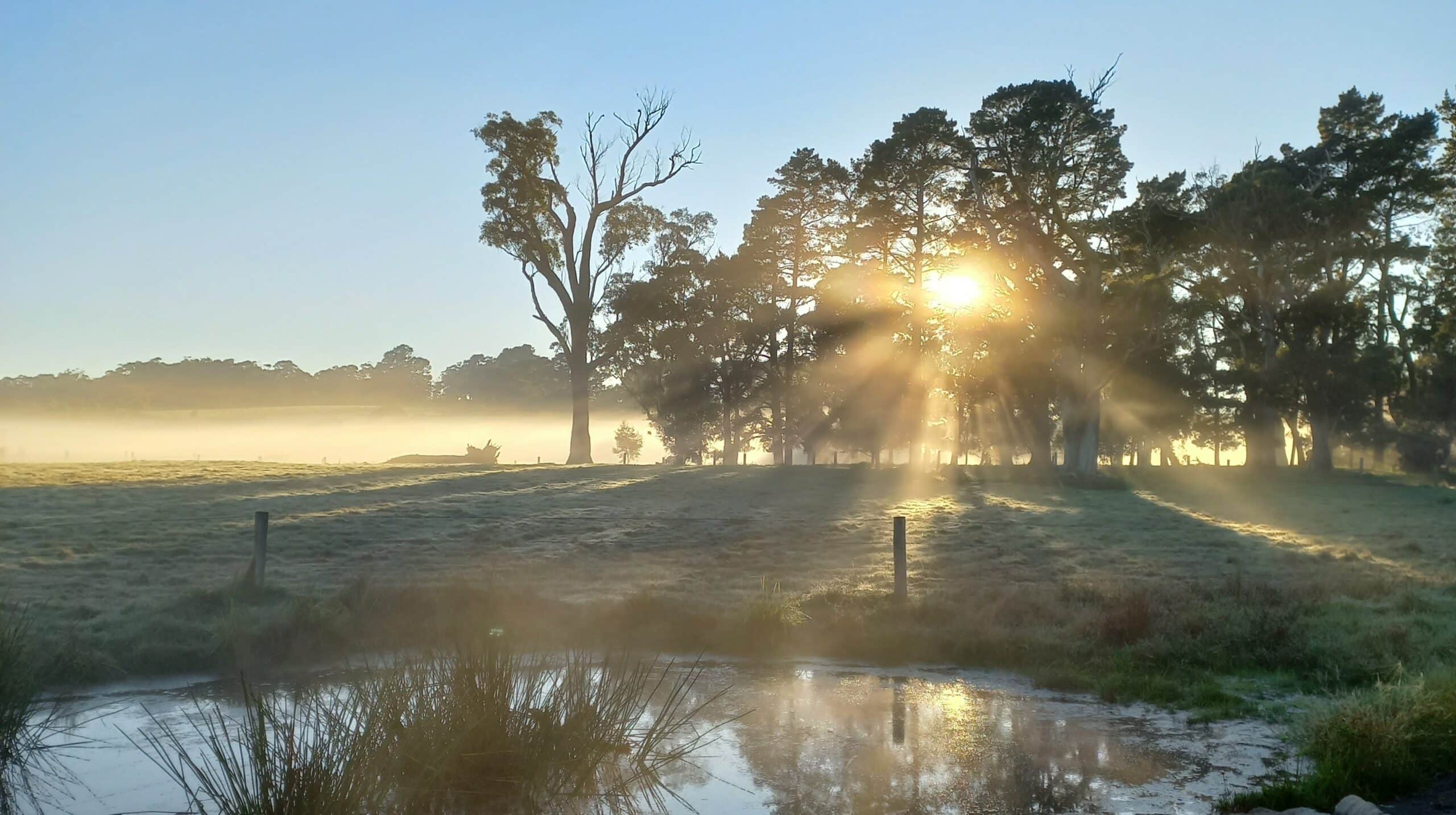 sunrise-wetland-new-south-wales