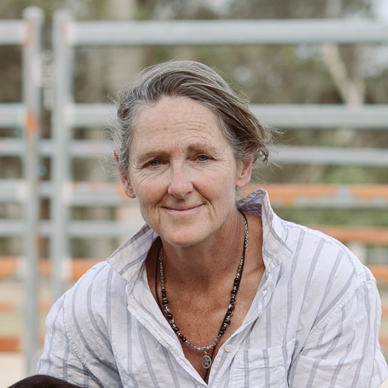 Kate Schreiber vet nurse equine rehab specialist