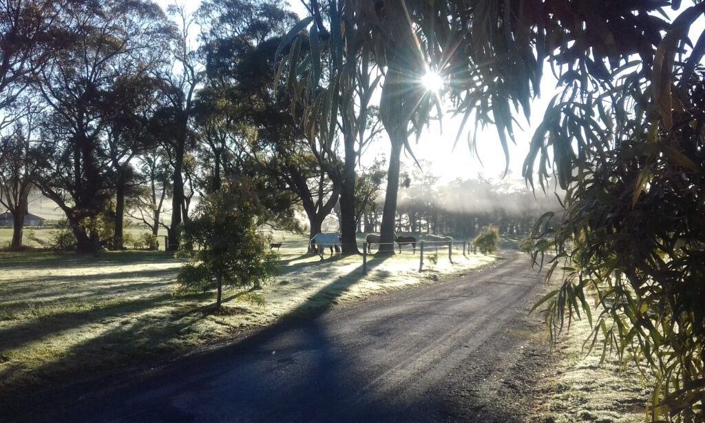 stunning autumn morning at Highlands Centre for Healing