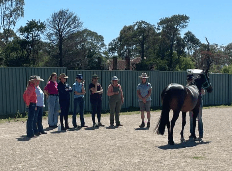 participants at equine first aid course