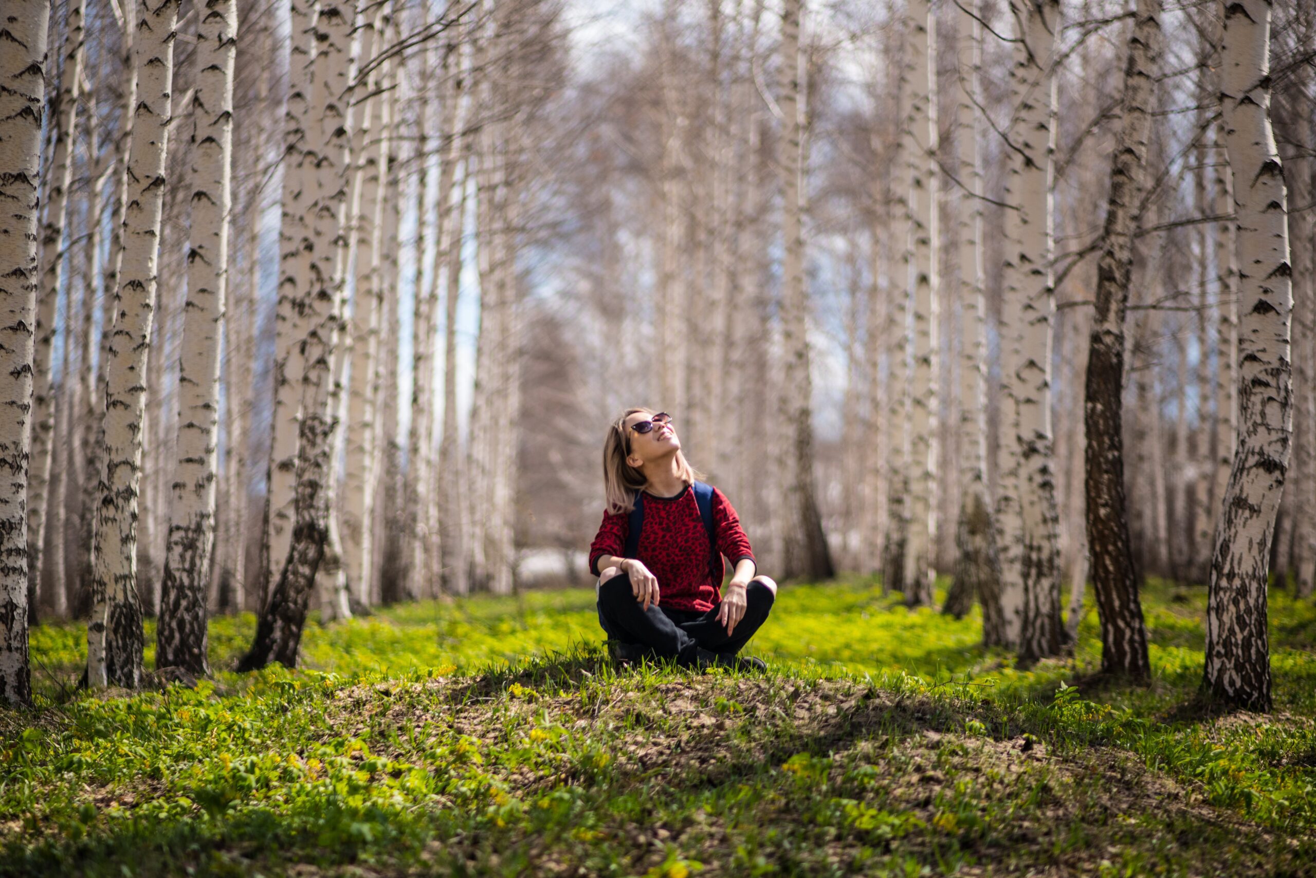 woman enjoying nature, seated in a birch forest on a sunny day