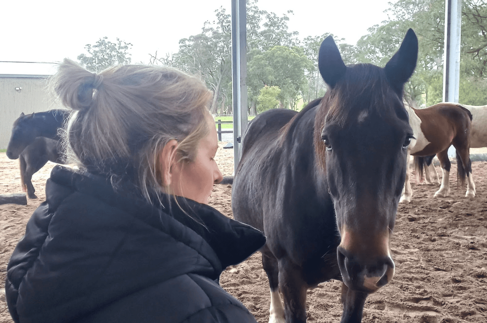 why is equine therapy effective