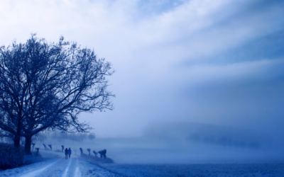 Coping with Winter Blues: My Personal Journey and Tips for Support