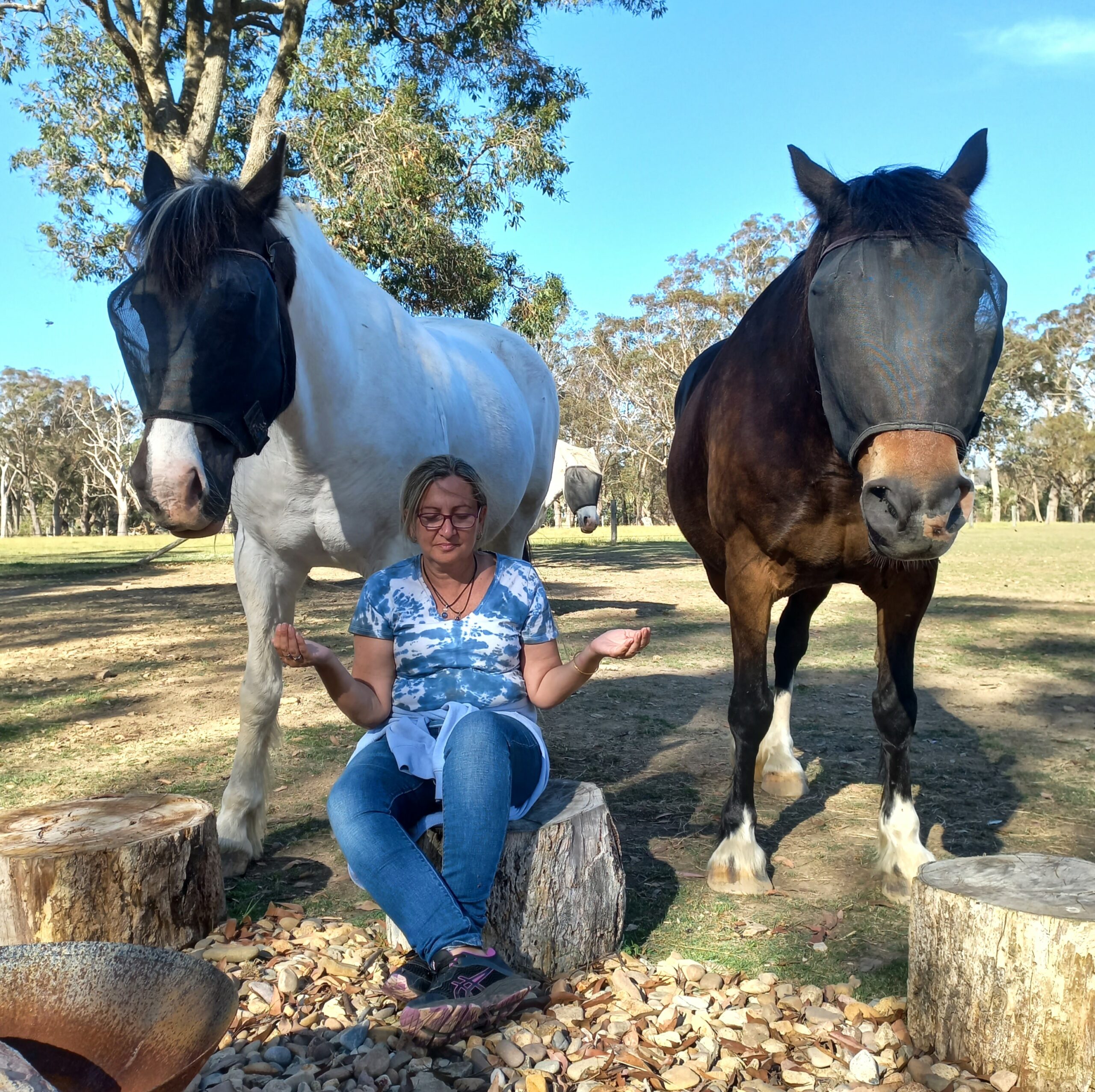 equine therapy white horse reiki course