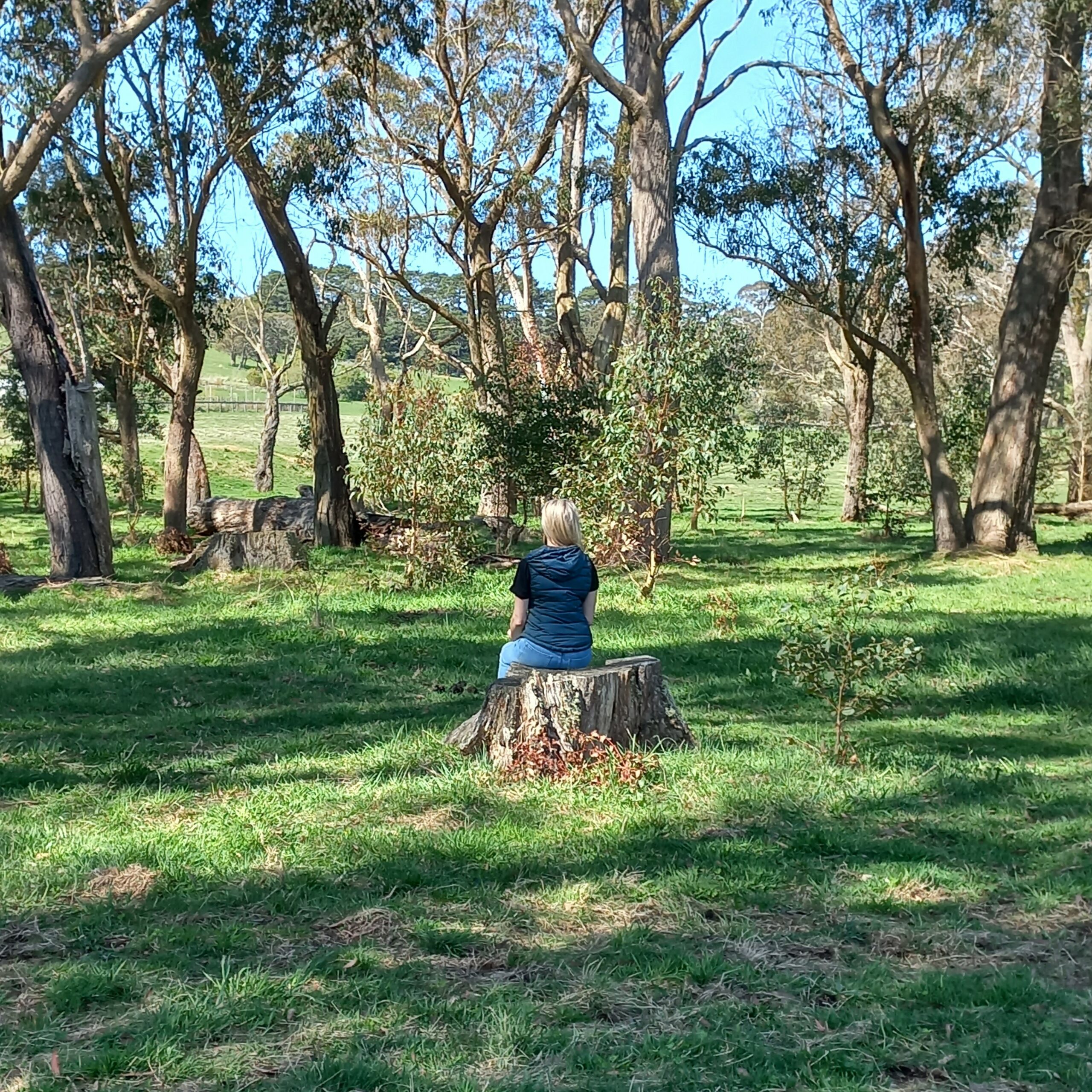 meditation in woodland