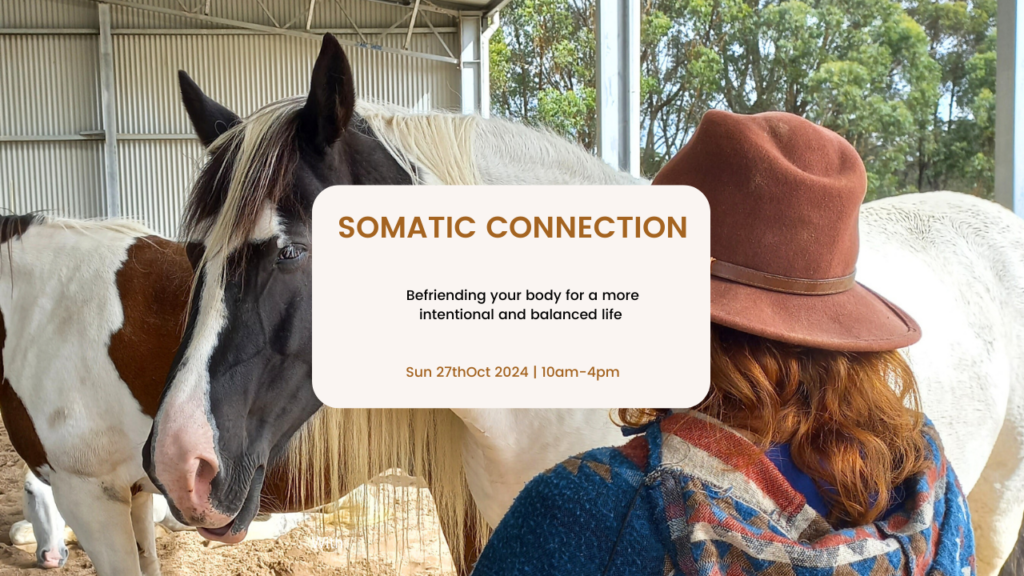 somatic connection banner2