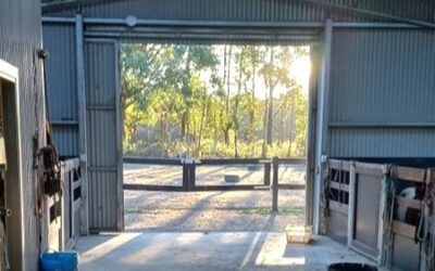 Nature Medicine: How Natural Environments Support Healing