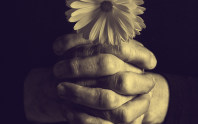 Grief Retreats in the Southern Highlands: What We Offer