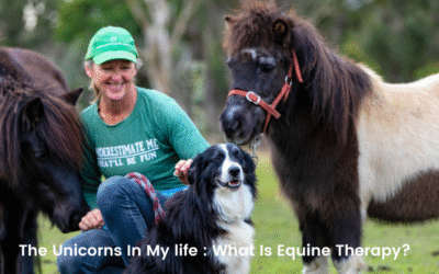 The Unicorns In My Life – What Is Equine Therapy?