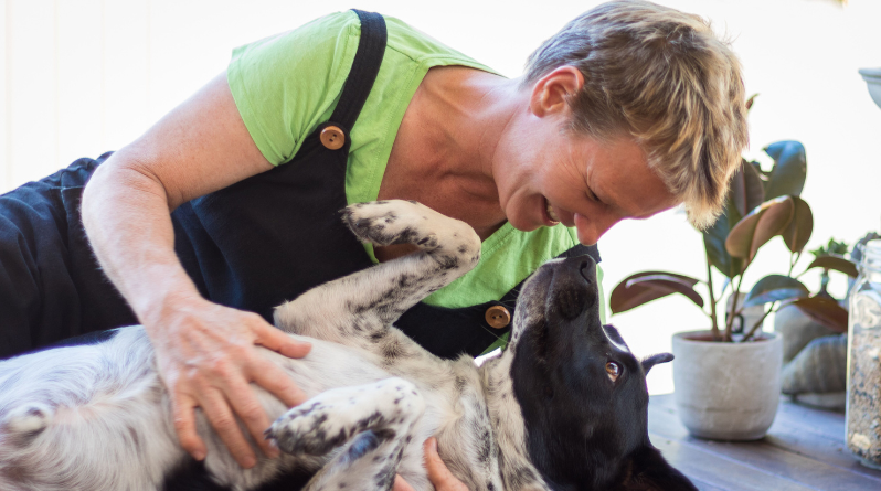 equine therapy white horse reiki course