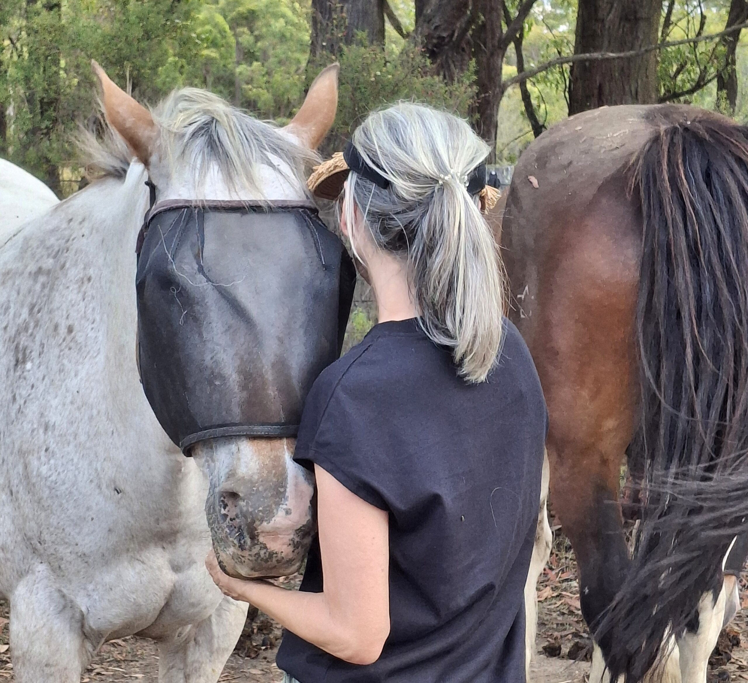 A woman with gray-streaked hair in a ponytail faces a horse wearing a fly mask, gently holding its face, with another horse standing nearby in a wooded outdoor setting.
