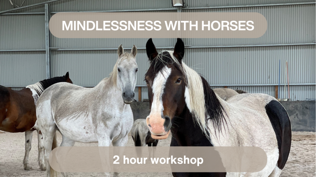 Two horses stand in an indoor arena with other horses behind them. Text above reads “Mindlessness with Horses” and below reads “2 hour workshop.” The arena has a metal wall and sandy floor.