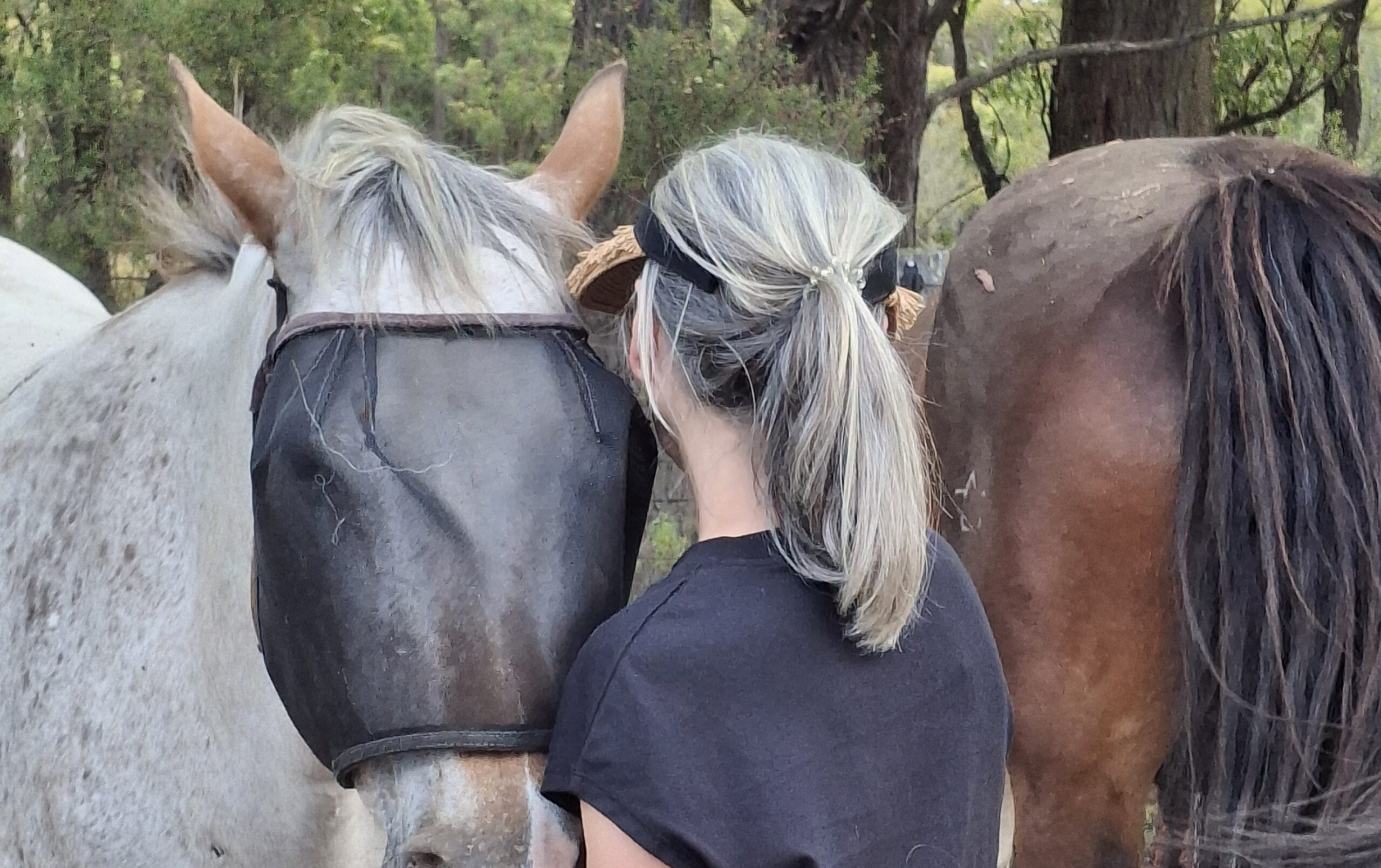 A woman with light blonde and brown hair in a ponytail stands facing a white horse wearing a black fly mask. Another brown horse stands nearby. Trees and greenery are visible in the background.