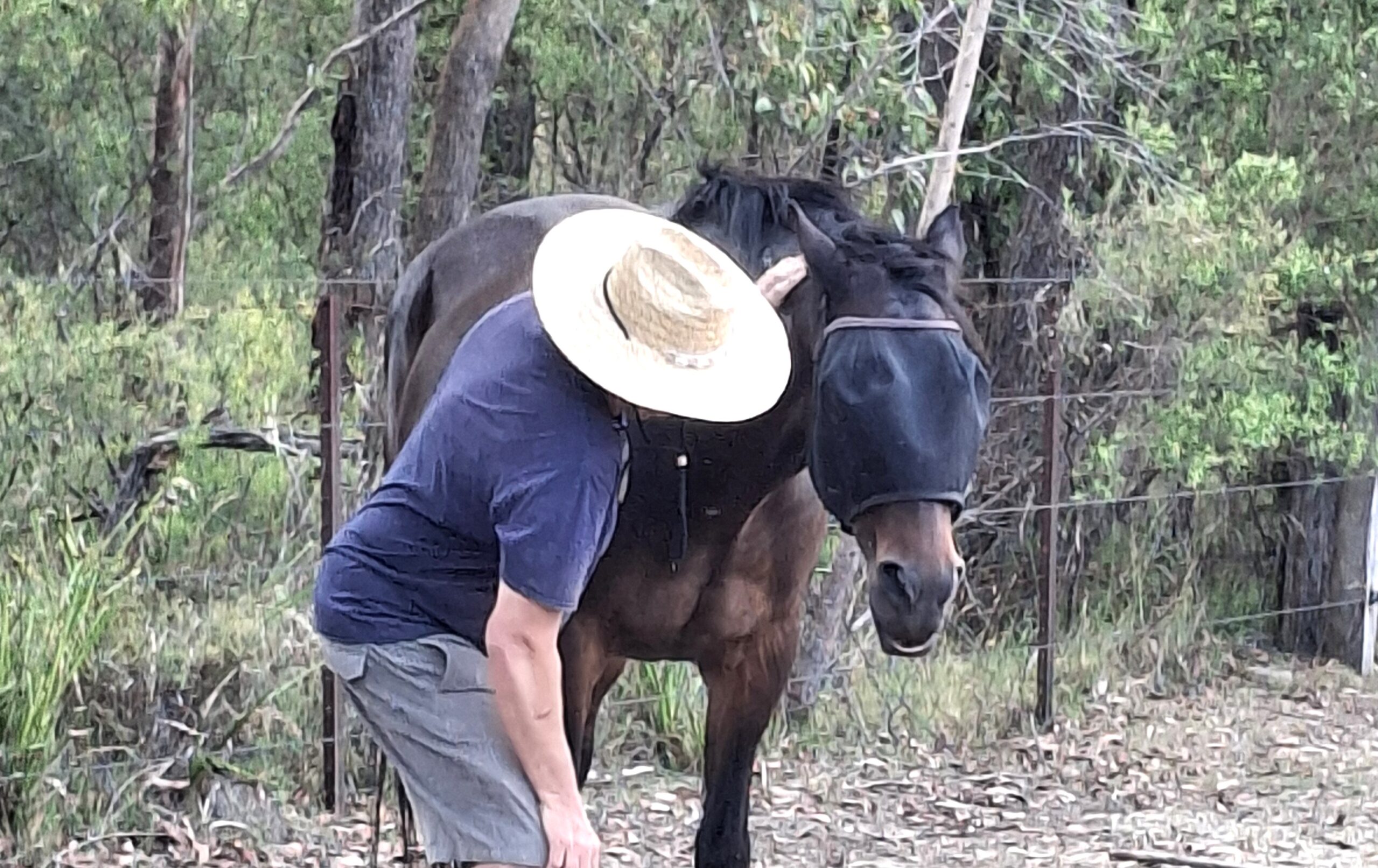 A person wearing a straw hat and blue shirt hugs the neck of a dark brown horse that is wearing a fly mask, standing near a wire fence with trees and brush in the background.