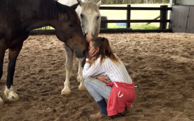 When Christmas Doesn’t Feel Merry