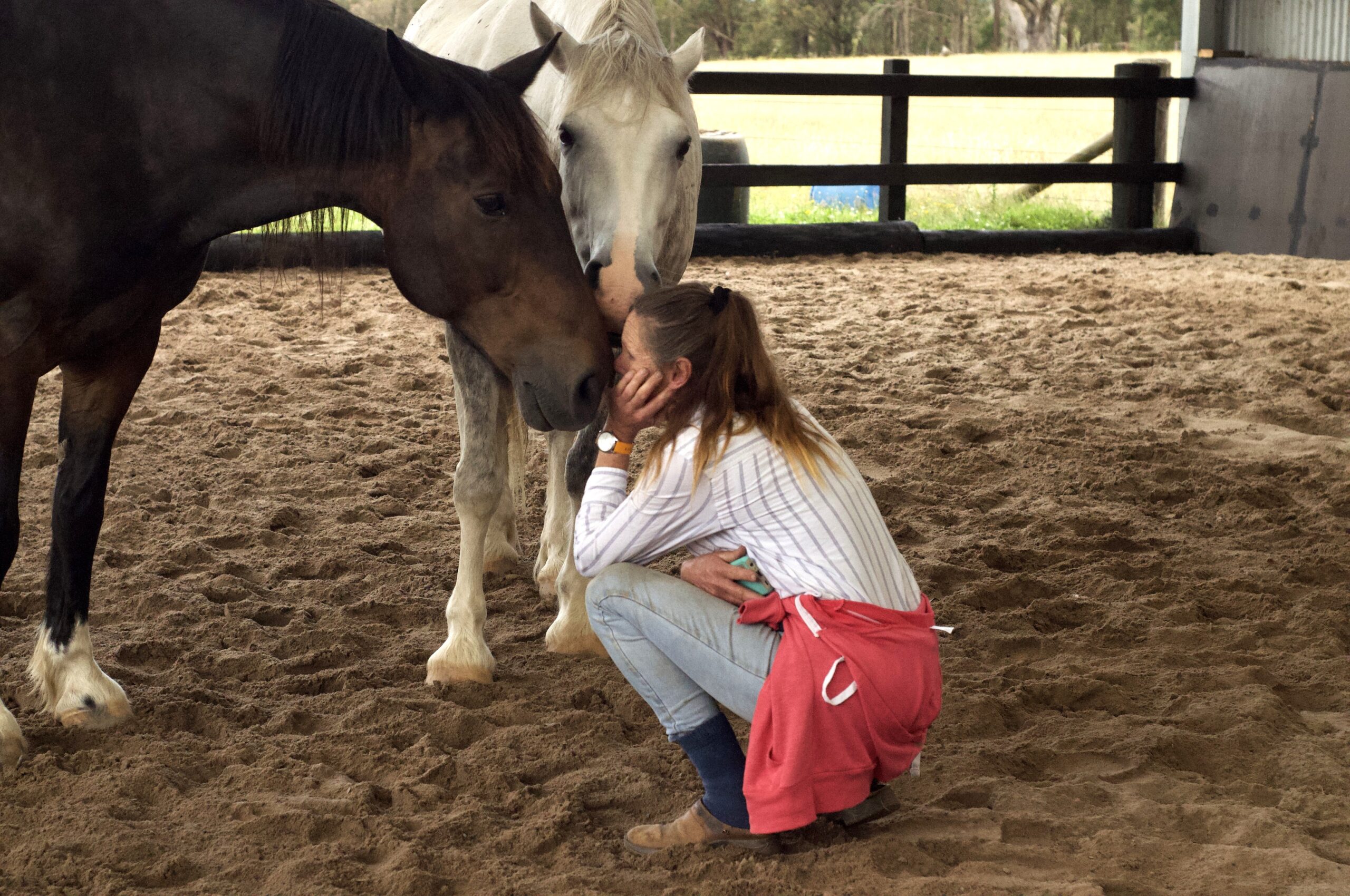 How sensitive are horses to your energy and mood