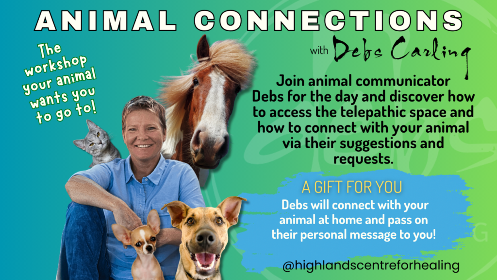 A smiling woman sits beside two dogs, with a cat and a horse behind her. Text promotes an Animal Connections workshop with Debs Carling, offering telepathic animal communication. Bright, colorful background.