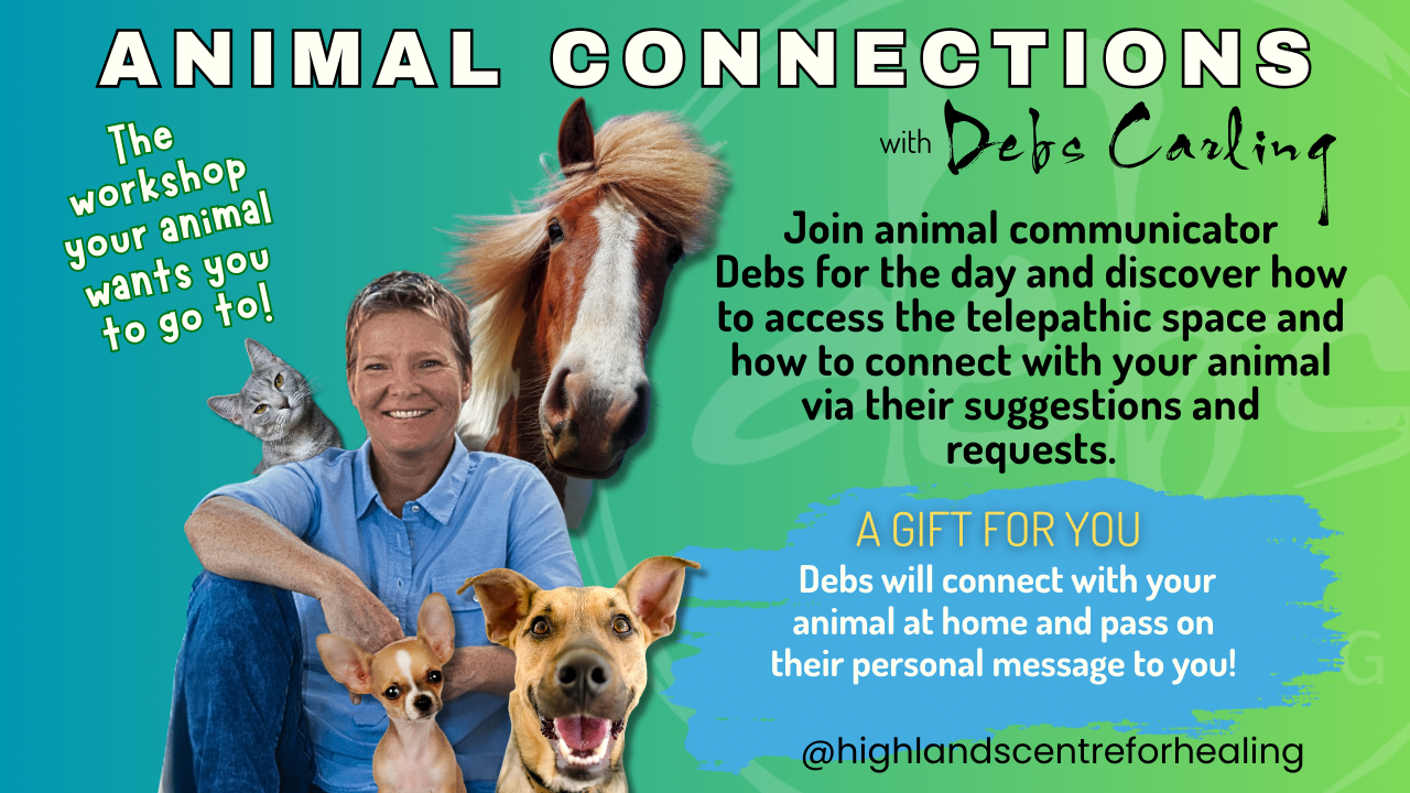 A smiling woman sits beside two dogs, with a cat and a horse behind her. Text promotes an Animal Connections workshop with Debs Carling, offering telepathic animal communication. Bright, colorful background.