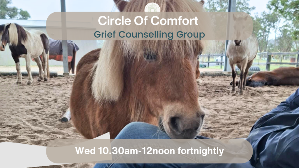 A close-up of a brown horse with a light mane lying on sandy ground near a person’s knee. Text reads: Circle Of Comfort Grief Counselling Group. Wed 10.30am-12noon fortnightly. Other horses are in the background.