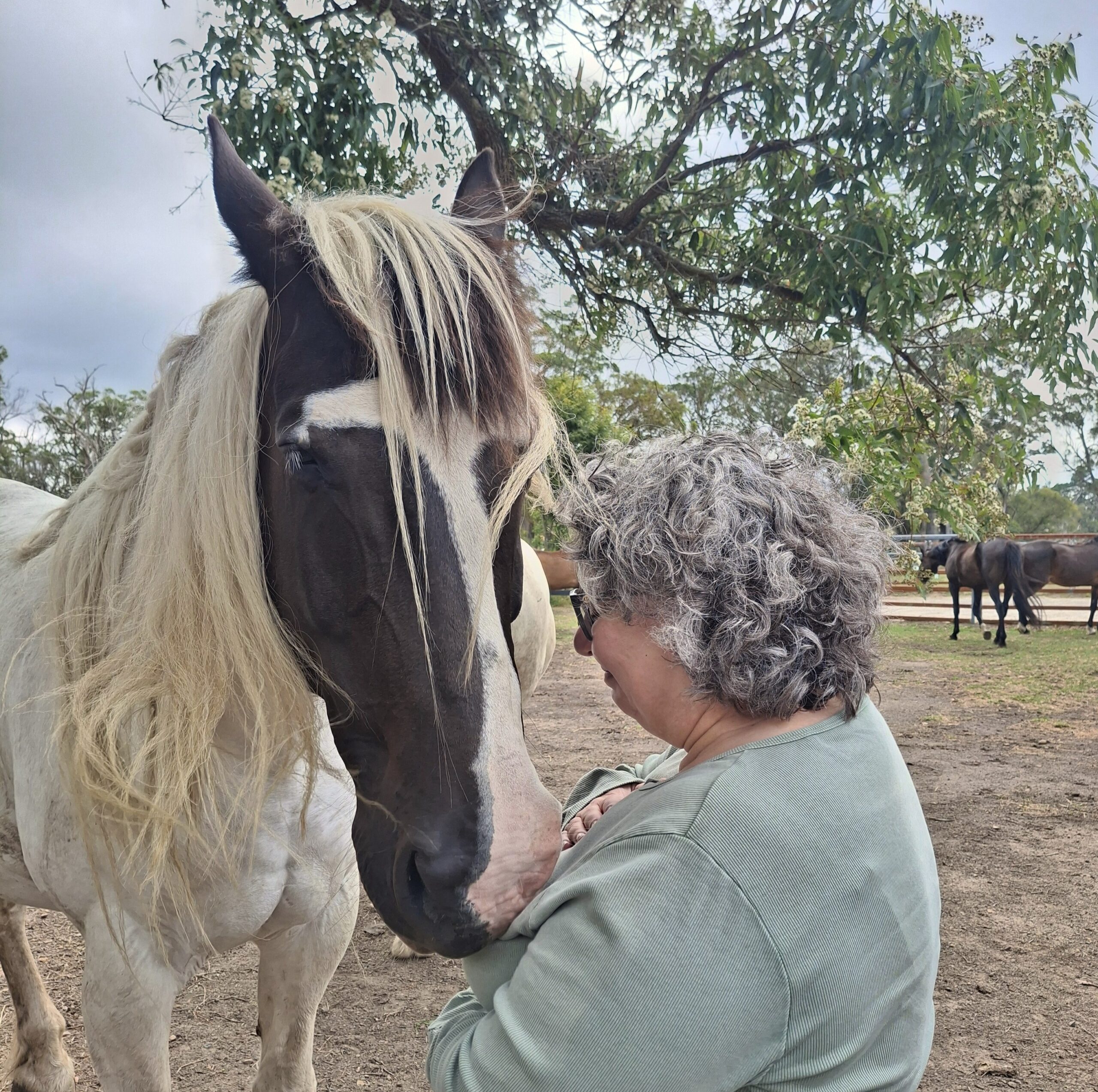 A person with curly gray hair and glasses gently nuzzles with a white and brown horse outdoors, surrounded by trees and other horses in a fenced area.