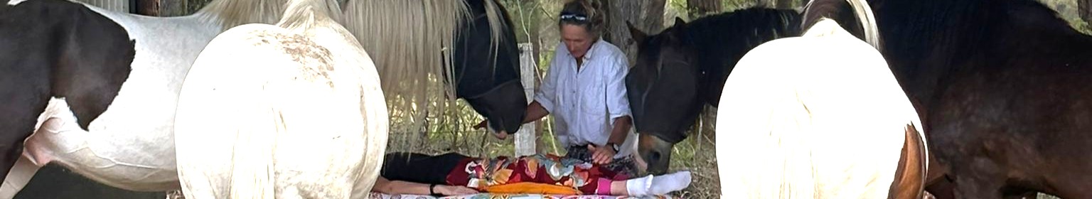 A person kneels next to another lying on a blanket, surrounded closely by four horses, some nuzzling the person on the ground. The scene is set outdoors with trees in the background.
