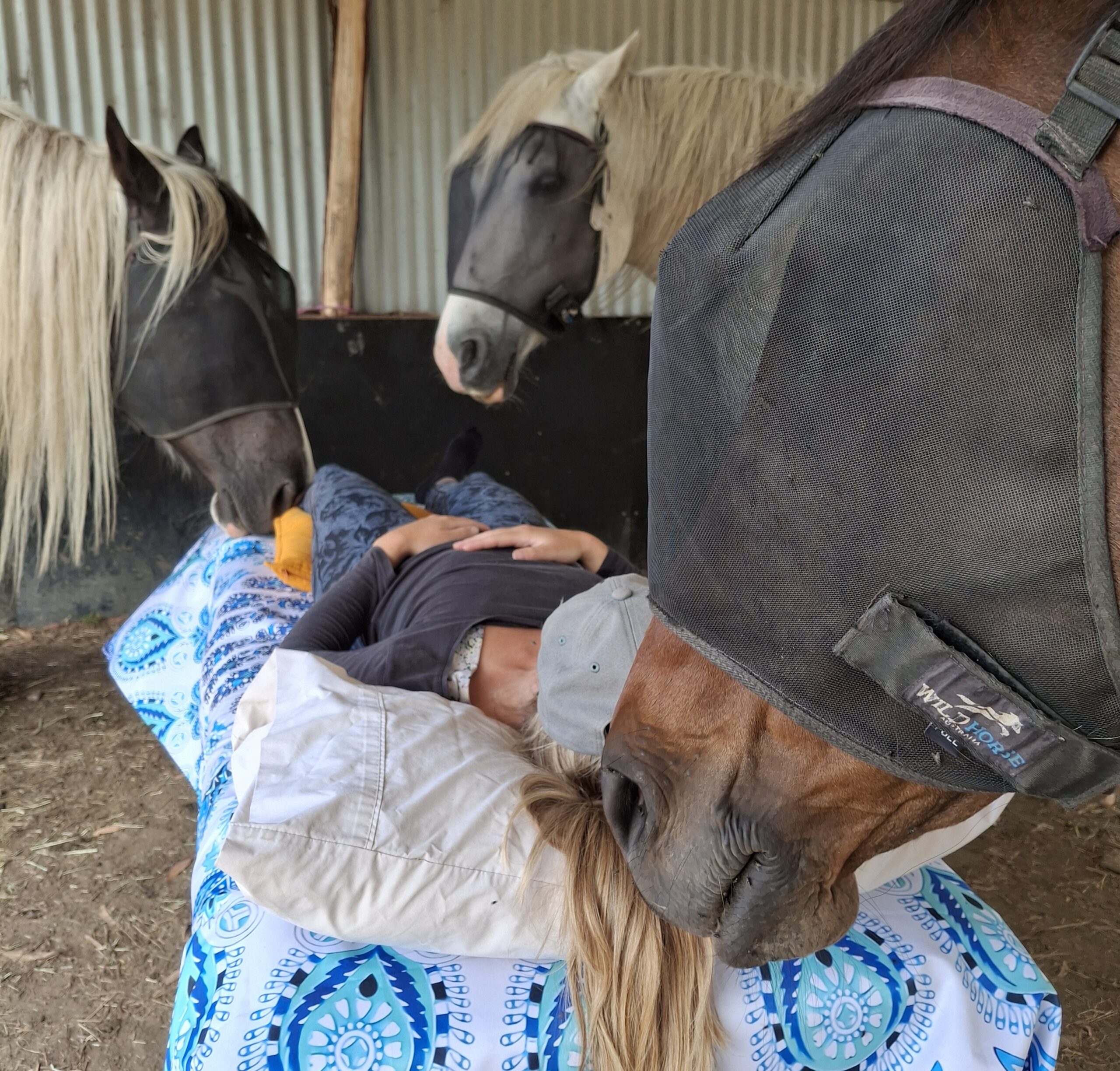 A person lies on a blanket-covered surface outdoors, surrounded closely by three horses, one of which nuzzles the persons head. The scene is calm and intimate.