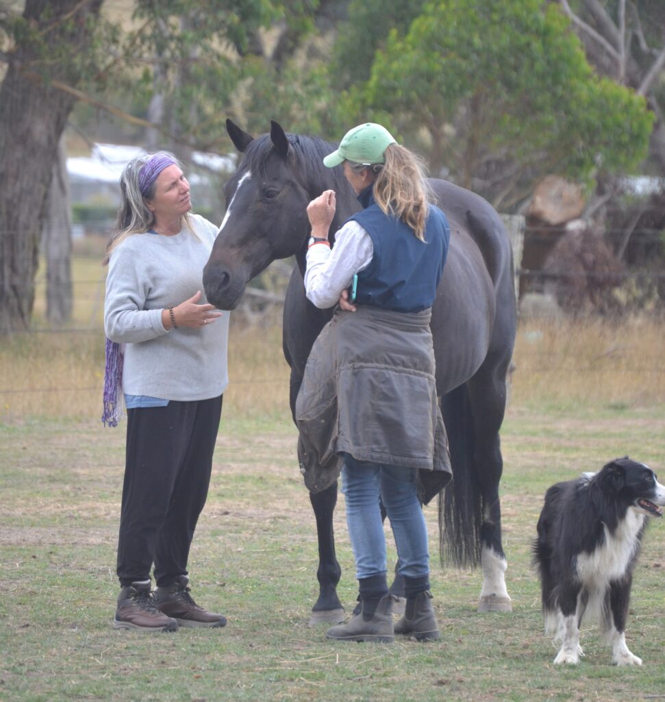 Two women stand outdoors with a black horse, one petting its face. A black and white dog stands nearby. Trees and a fence are visible in the background.