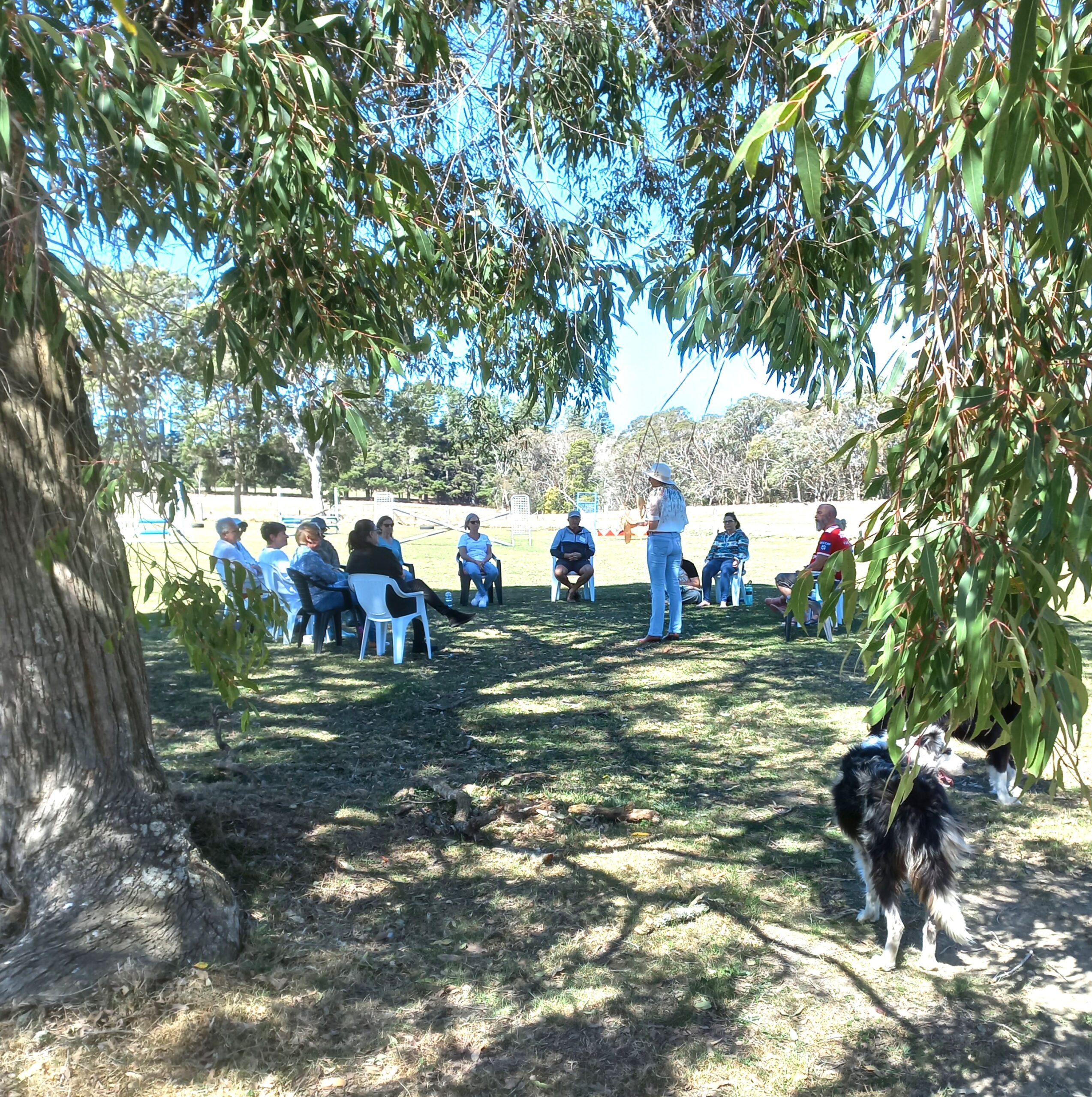 A group of people sits in a circle on white chairs outdoors under a large tree, listening to a standing speaker. Sunlight filters through the leaves, and a black and white dog stands nearby.