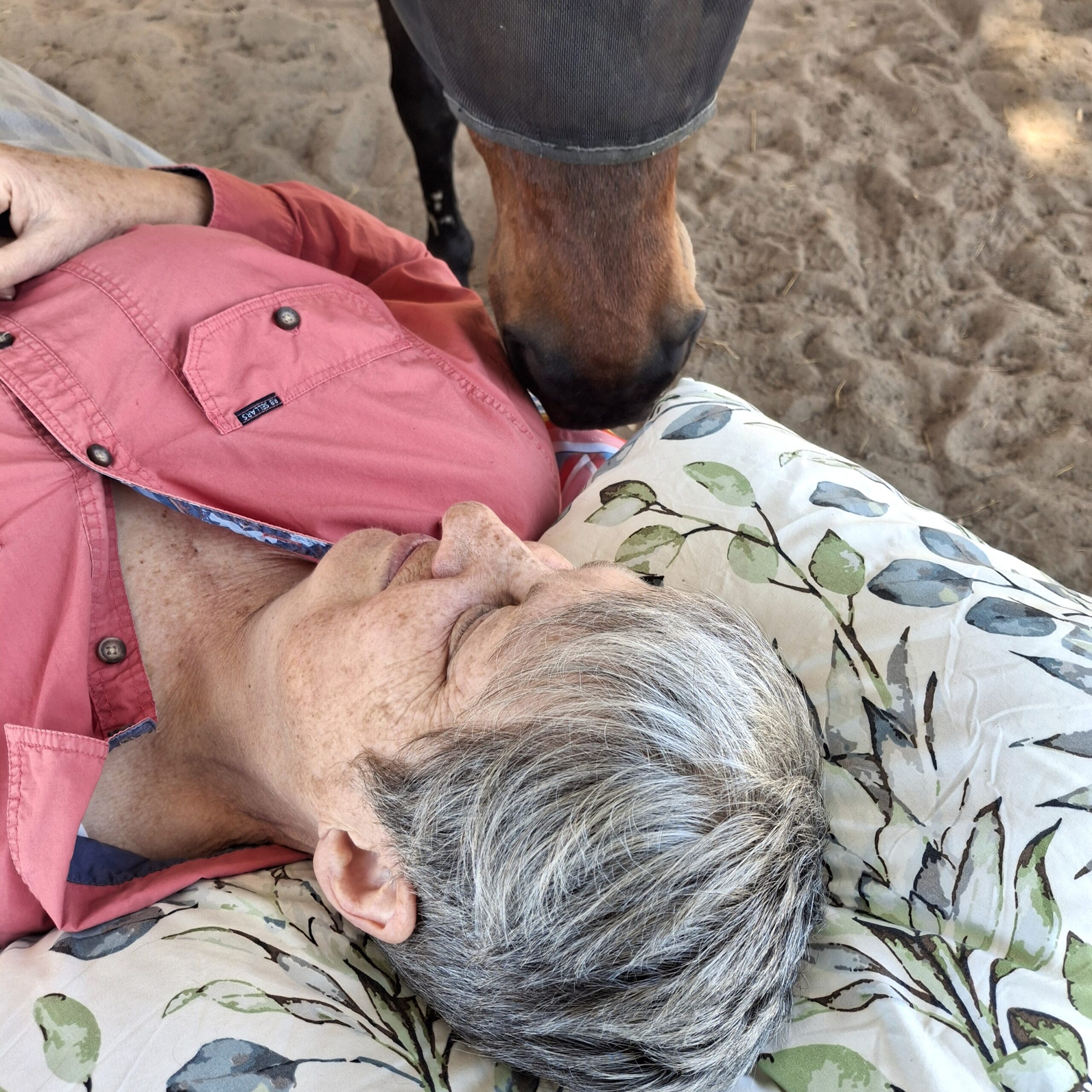 woman wearing pink a shirt lies on massage table with a brown horse putting his nose on her shoulder 