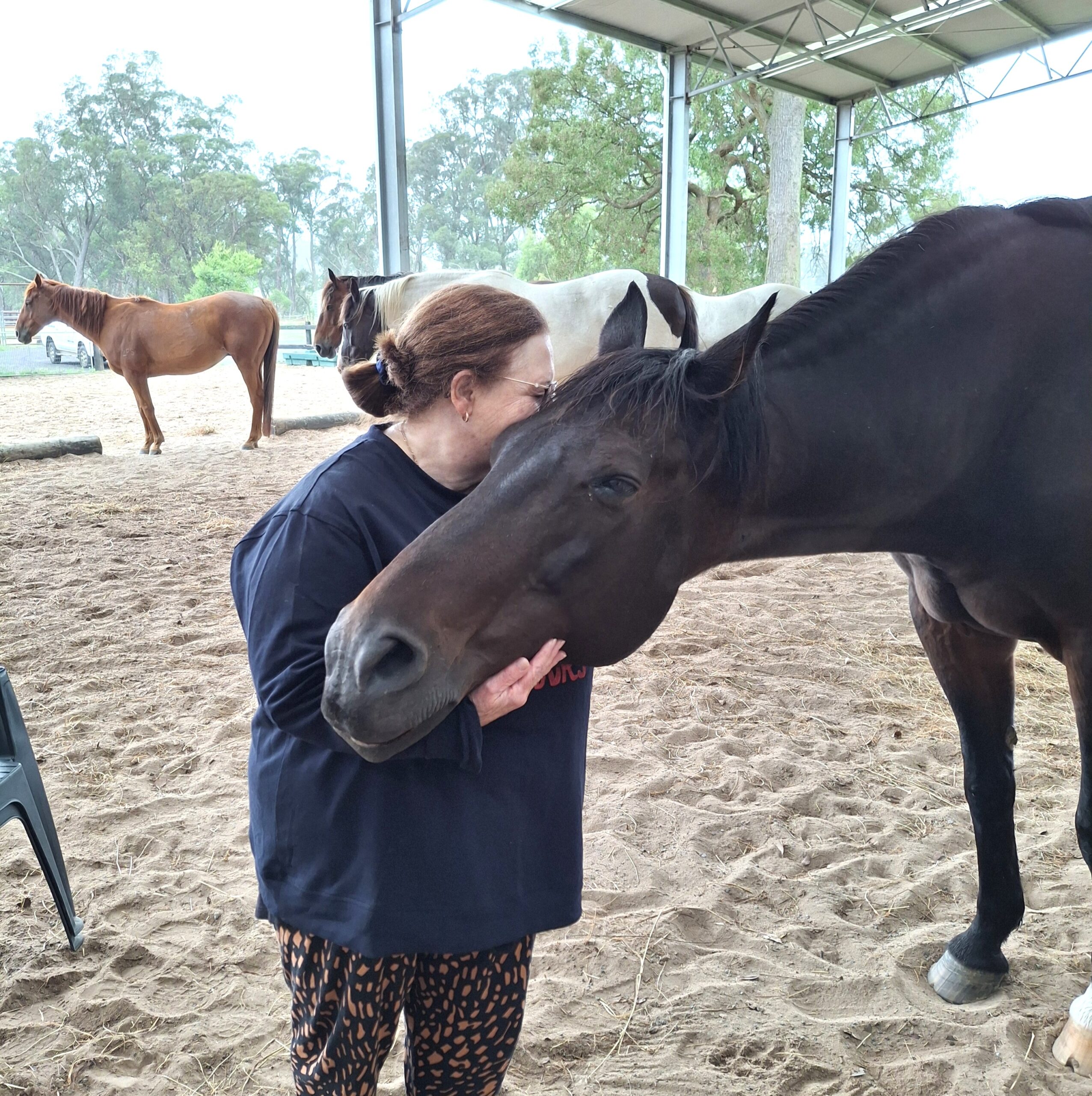 A person with curly gray hair and glasses gently nuzzles with a white and brown horse outdoors, surrounded by trees and other horses in a fenced area.