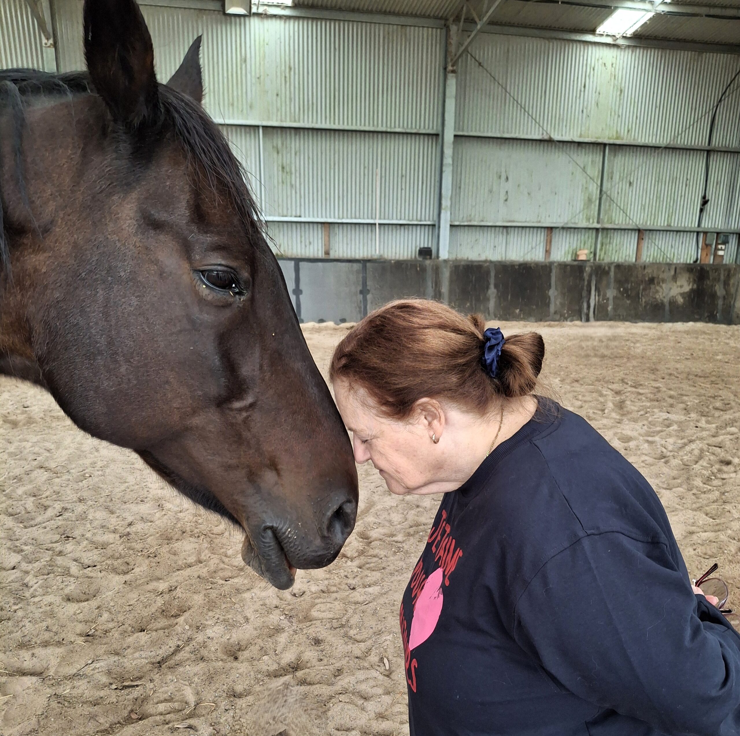 brown horse and human greet nose to nose