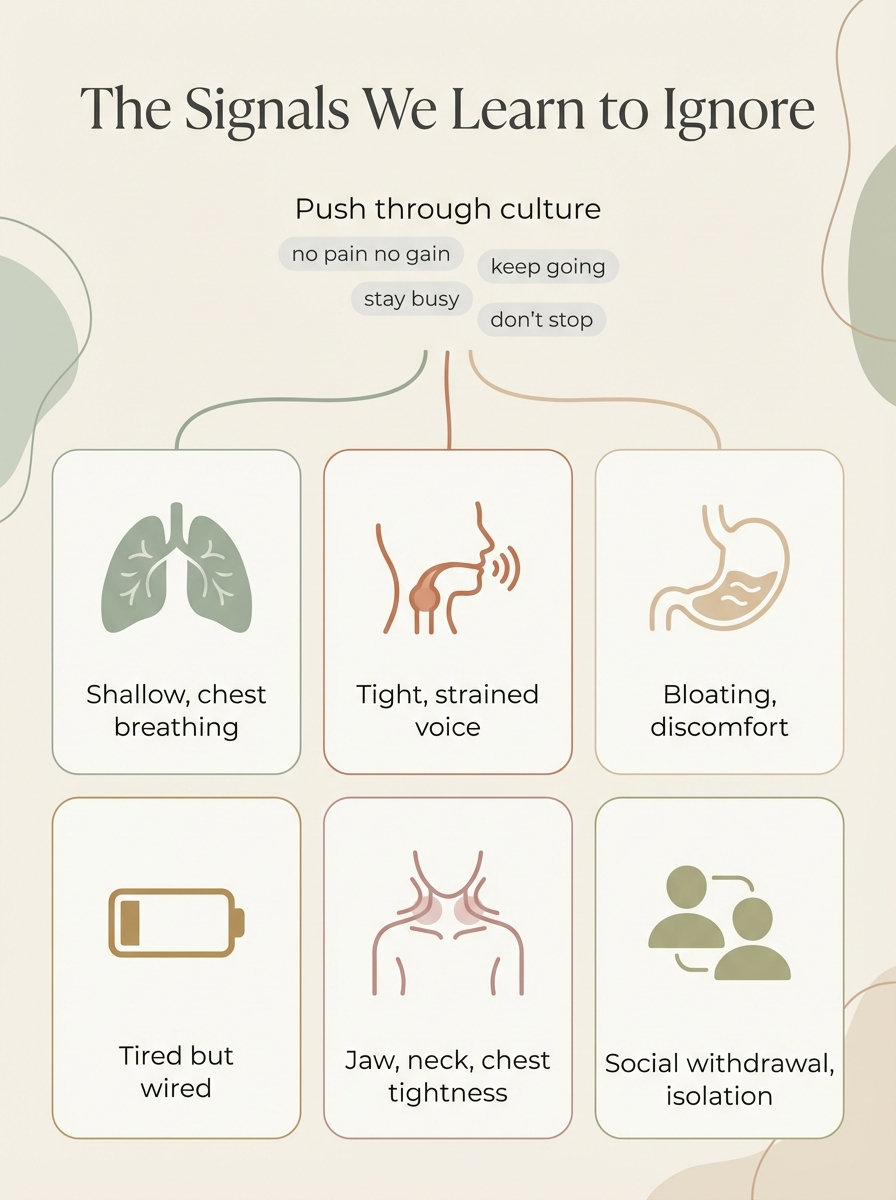 the signals we learn to ignore