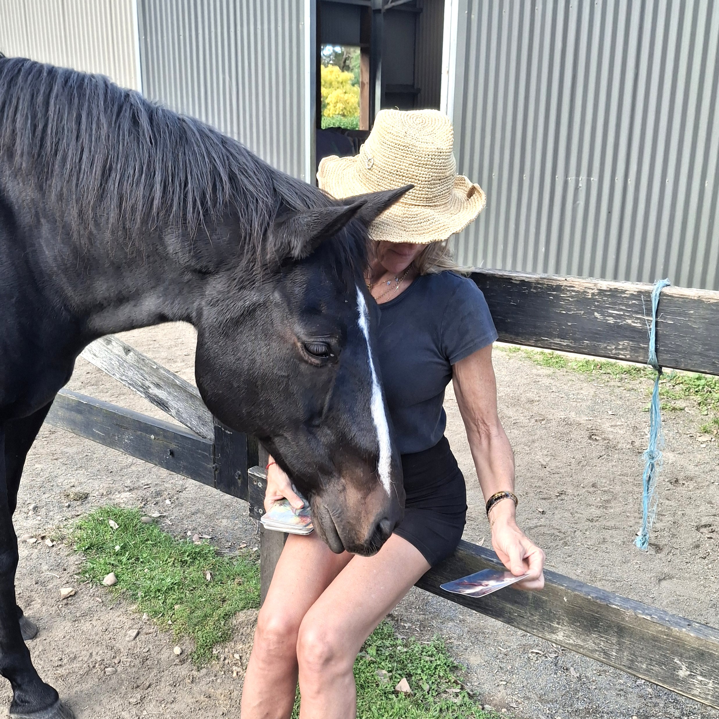 people sitting around table in forest eating