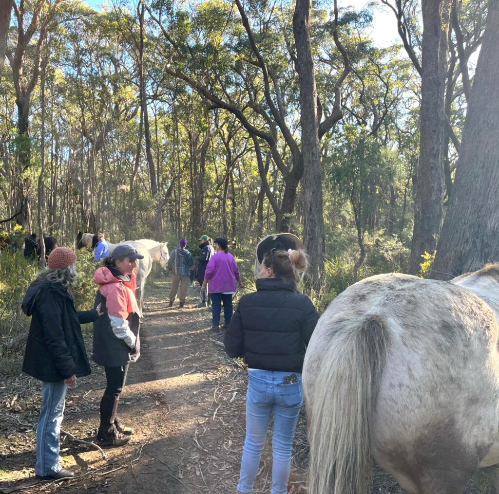 women and horses in forest