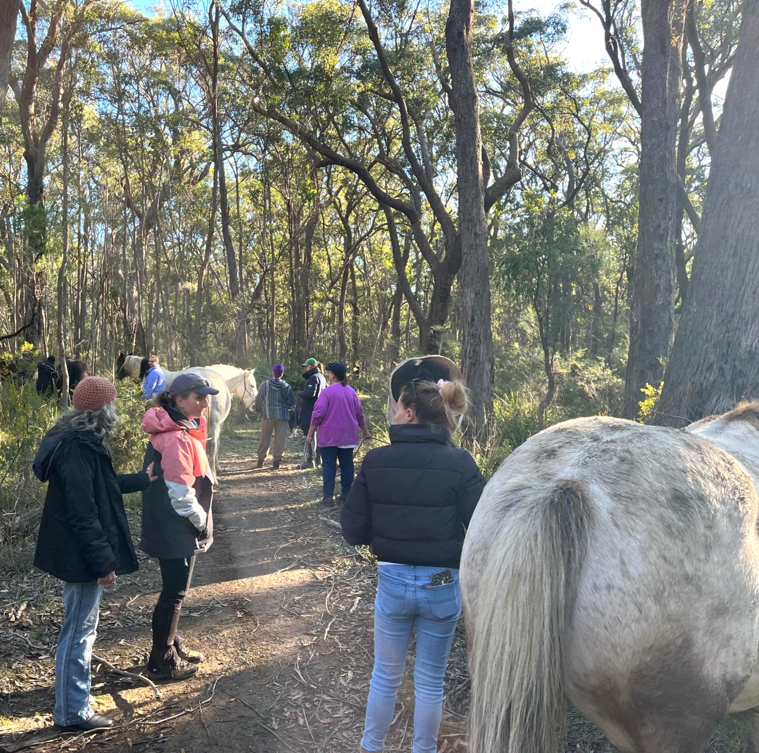 women and horses in forest