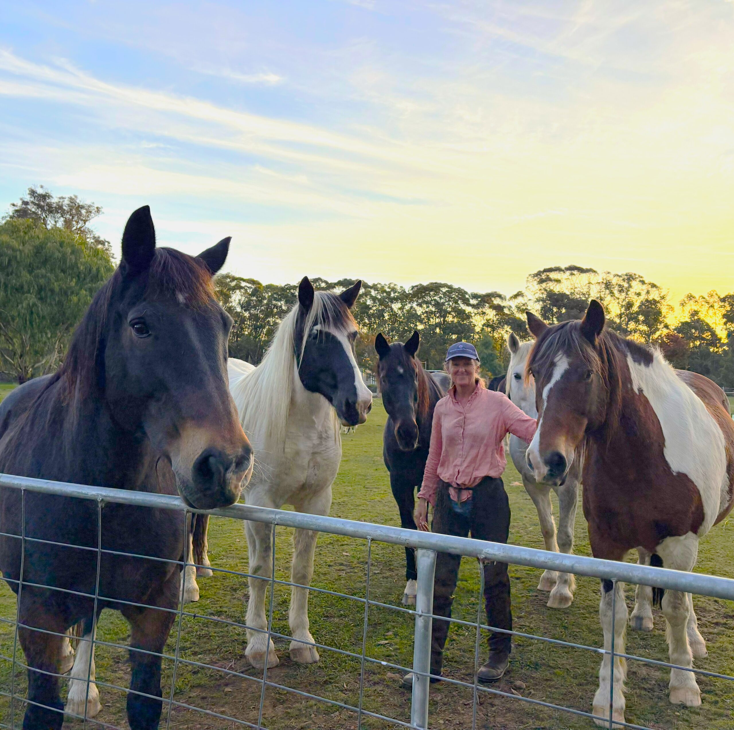 woman stands with four large horses