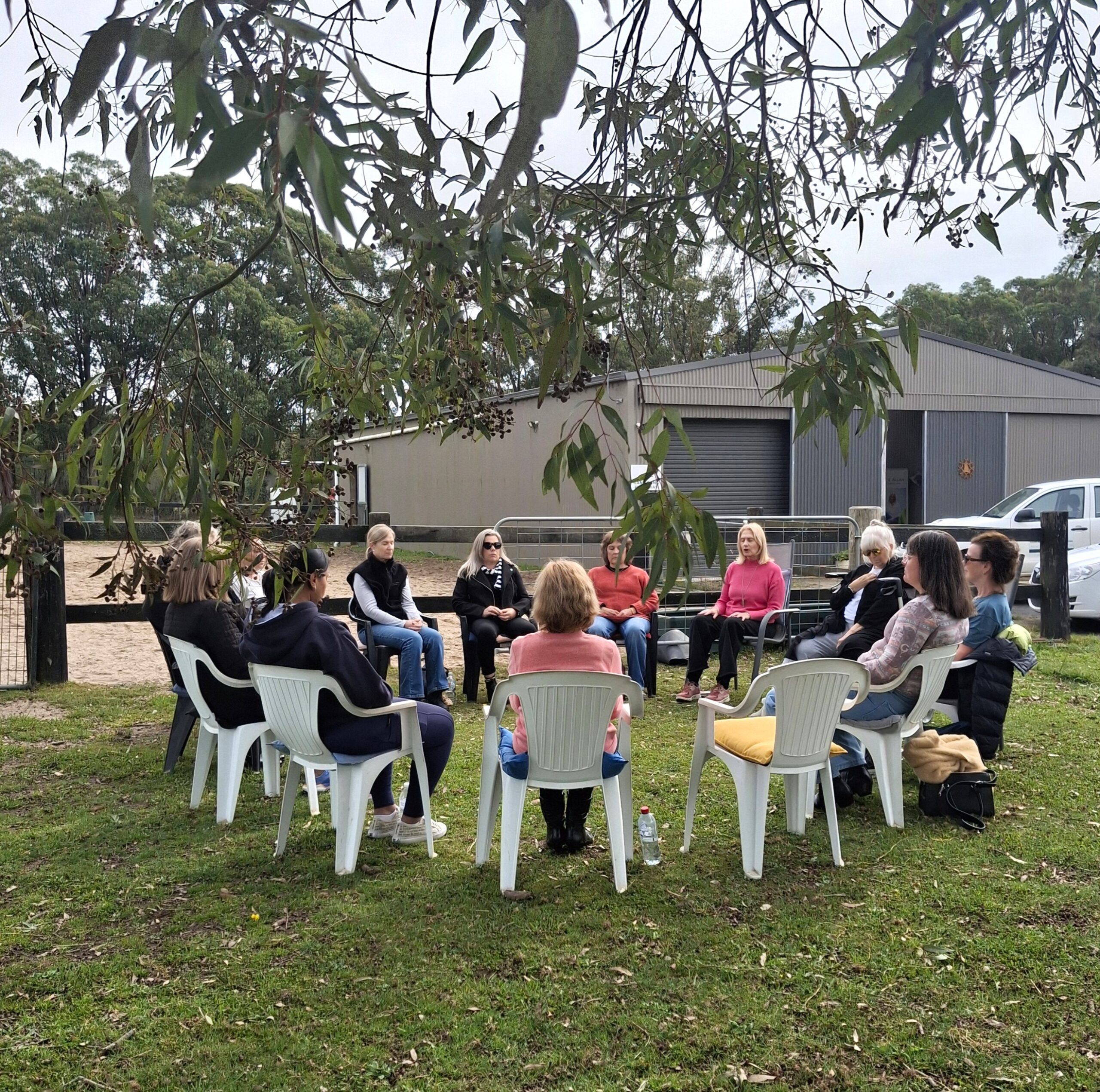 group sitting outside on chairs under a tree