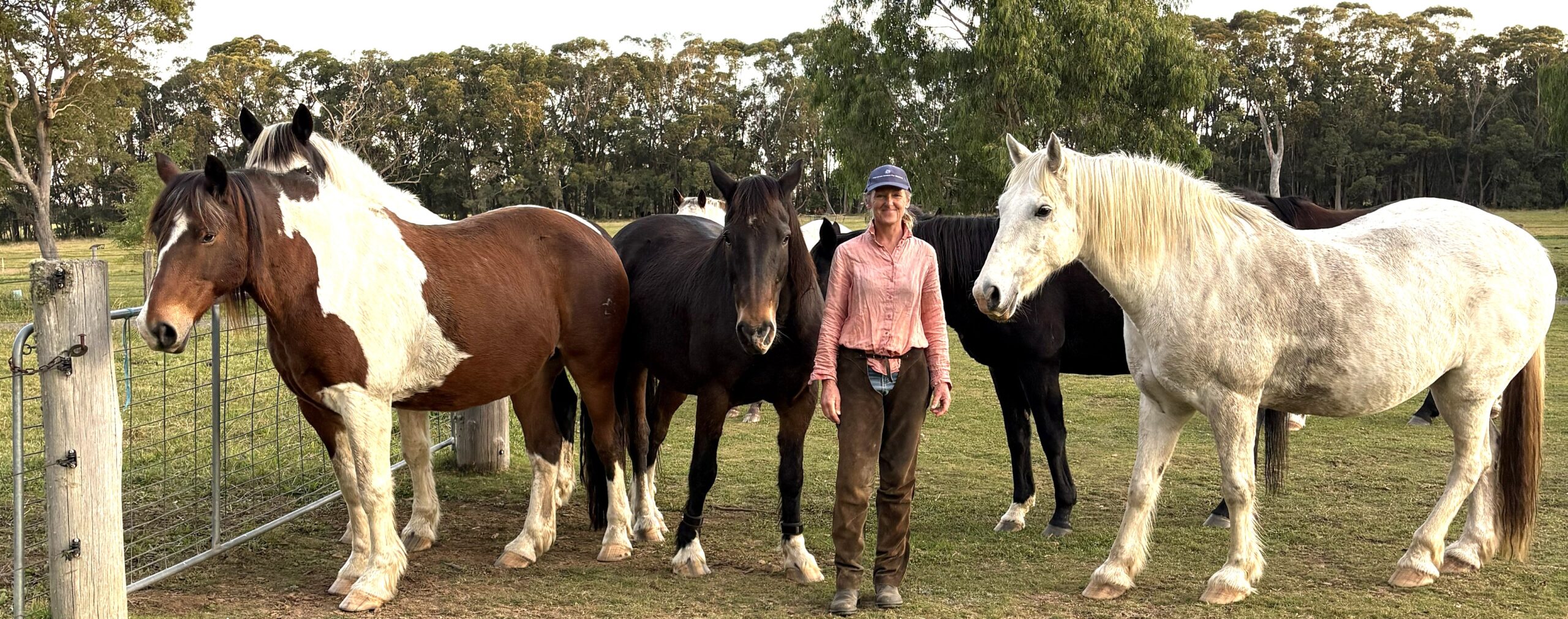 soo woods with six of her therapy horses